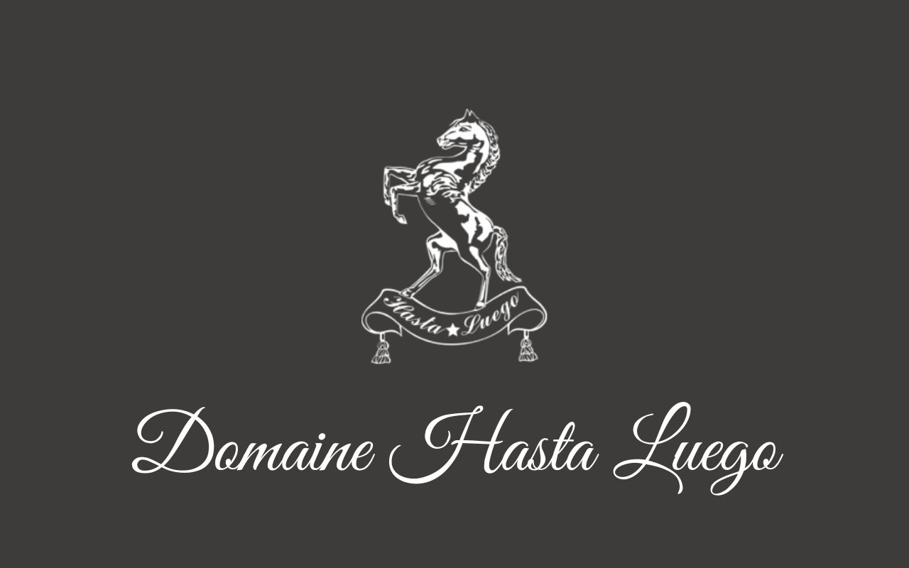Logo Domaine Hasta Luego à Nîmes
