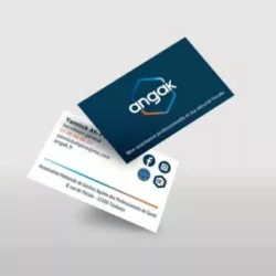 ANGAK-carte de visite par parlons web